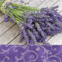 20 Napkins Lavender in the Country Purple - 33x33cm / 13x13inch 3 ply