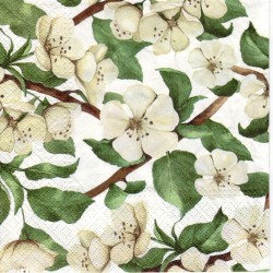 20 Napkins Apple blossom White - 33x33cm / 13x13inch 3 ply