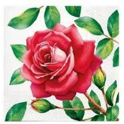 20 Napkins Special Rose - 33x33cm / 13x13inch 3 ply